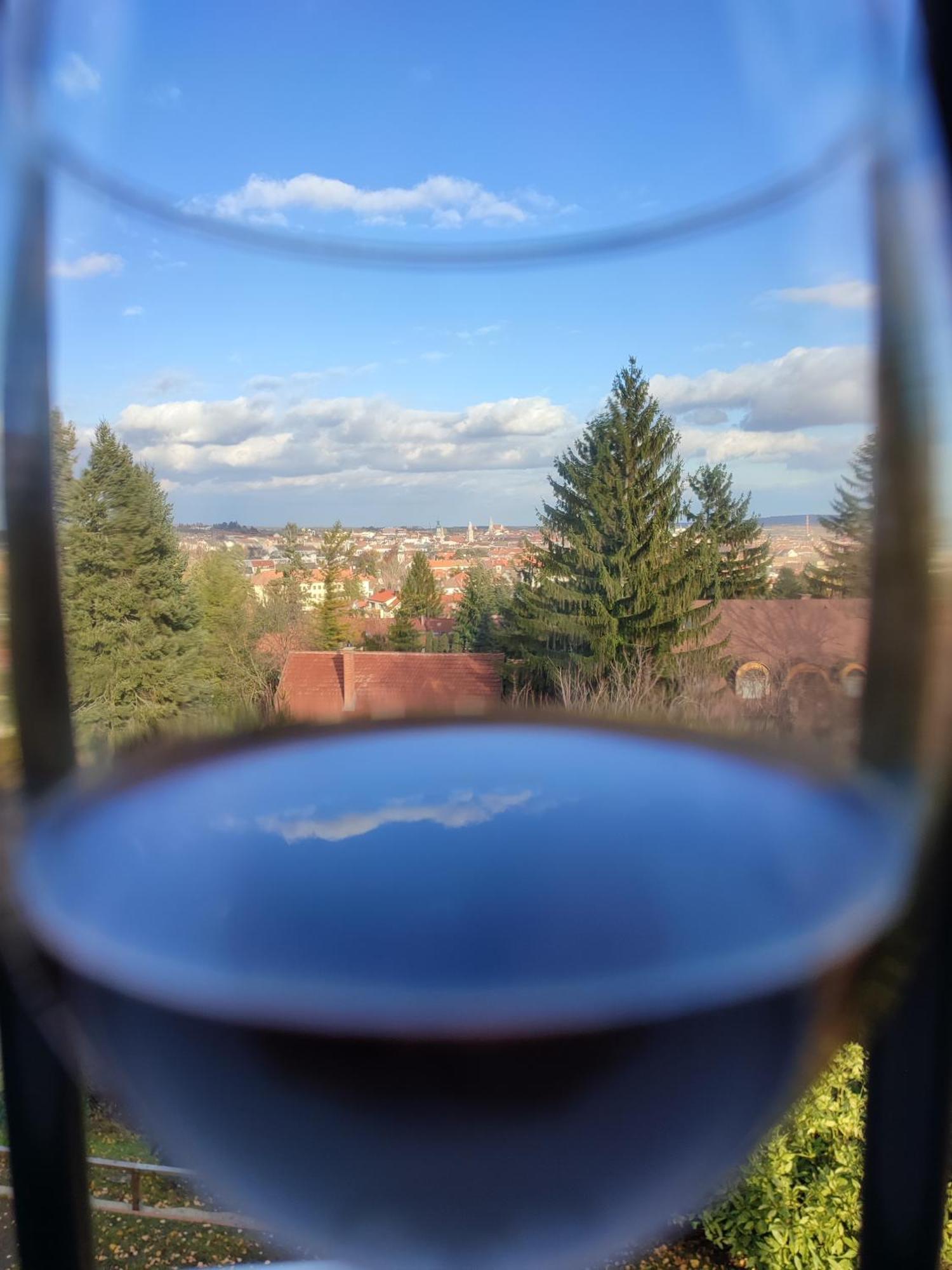 Villa Mimi Sopron Esterno foto